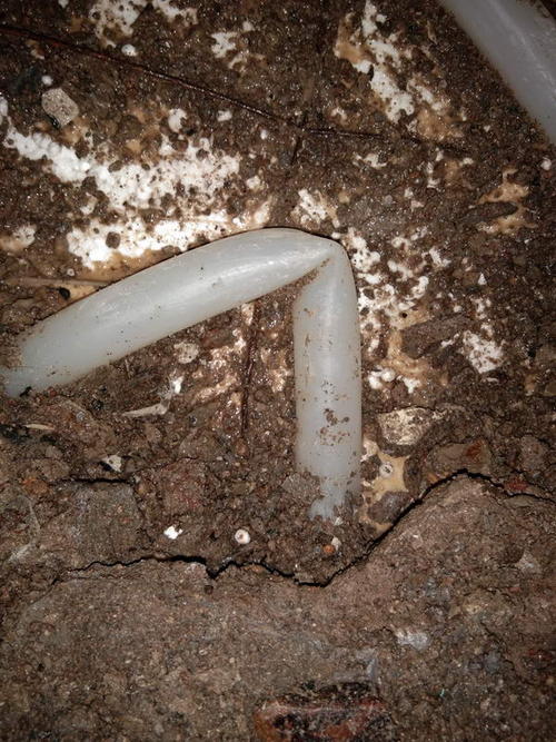 宁远堵点精准查找